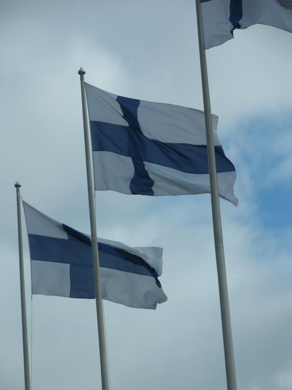 Suomenlippuja